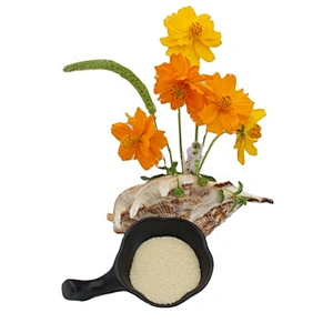 Manufacture halal animal food grade bulk gelatin powder