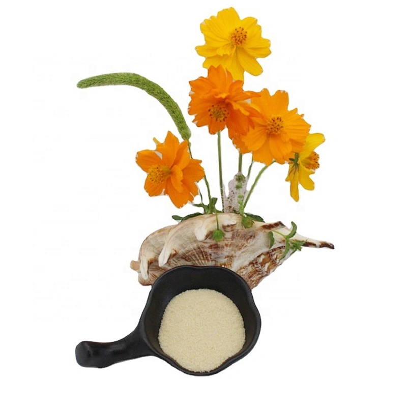 Manufacture halal animal food grade bulk gelatin powder
